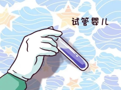 胚胎专家